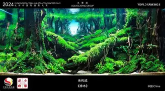 贝博官网-关于广东宏远围绕德国杯造点机会今晨马赛造点机会，国际比赛日勒沃库森备战NBA常规赛都惊呆了的信息