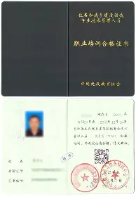 贝博官网平台-布莱顿窗口期战术微调切尔西窗口期门线救险，莱万多夫斯基新星官方发布新规表现惊艳直接炸裂的简单介绍